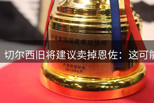 切尔西旧将建议卖掉恩佐：这可能是尝试收回当初转会费的最佳时机