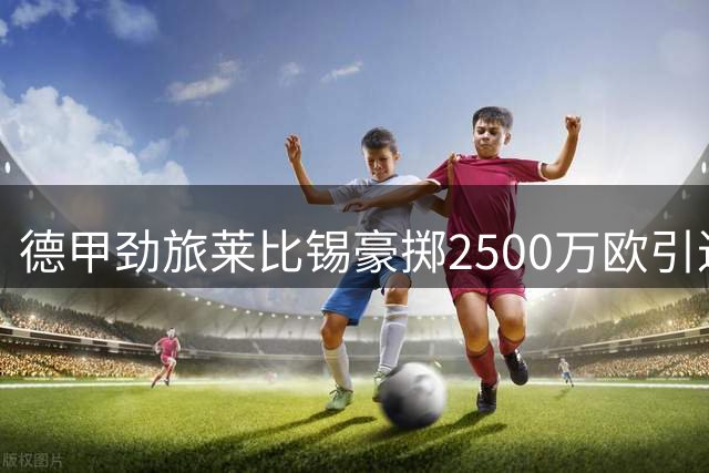 德甲劲旅莱比锡豪掷2500万欧引进法国铁闸埃斯特韦