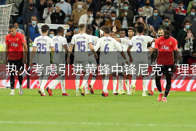 热火考虑引进黄蜂中锋尼克·理查兹