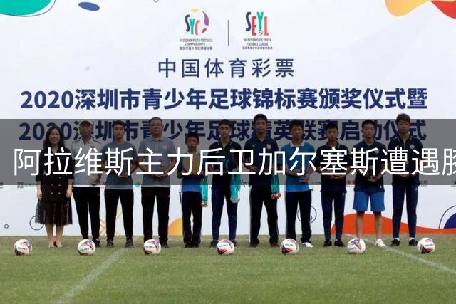 阿拉维斯主力后卫加尔塞斯遭遇膝部重伤